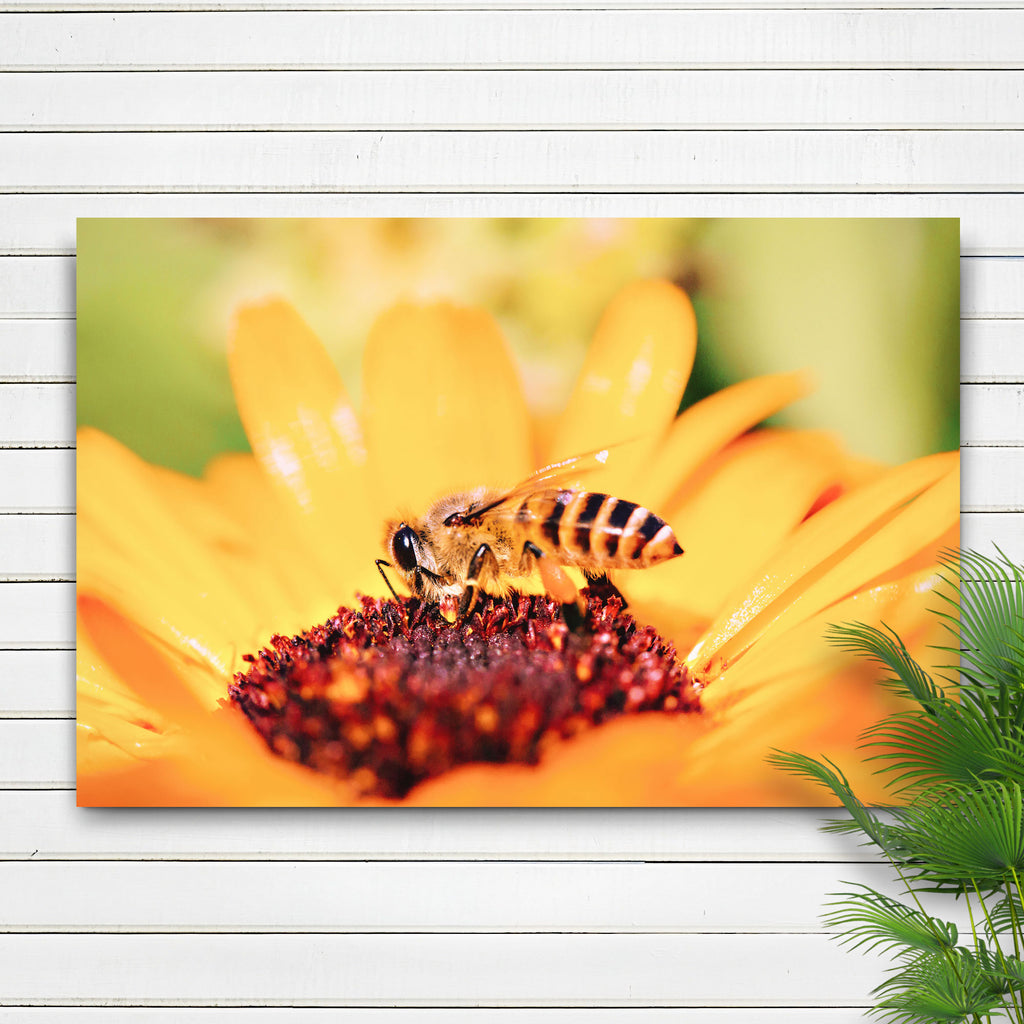 Yellow Sunflower Bee Canvas Wall Art - by Tailored Canvases