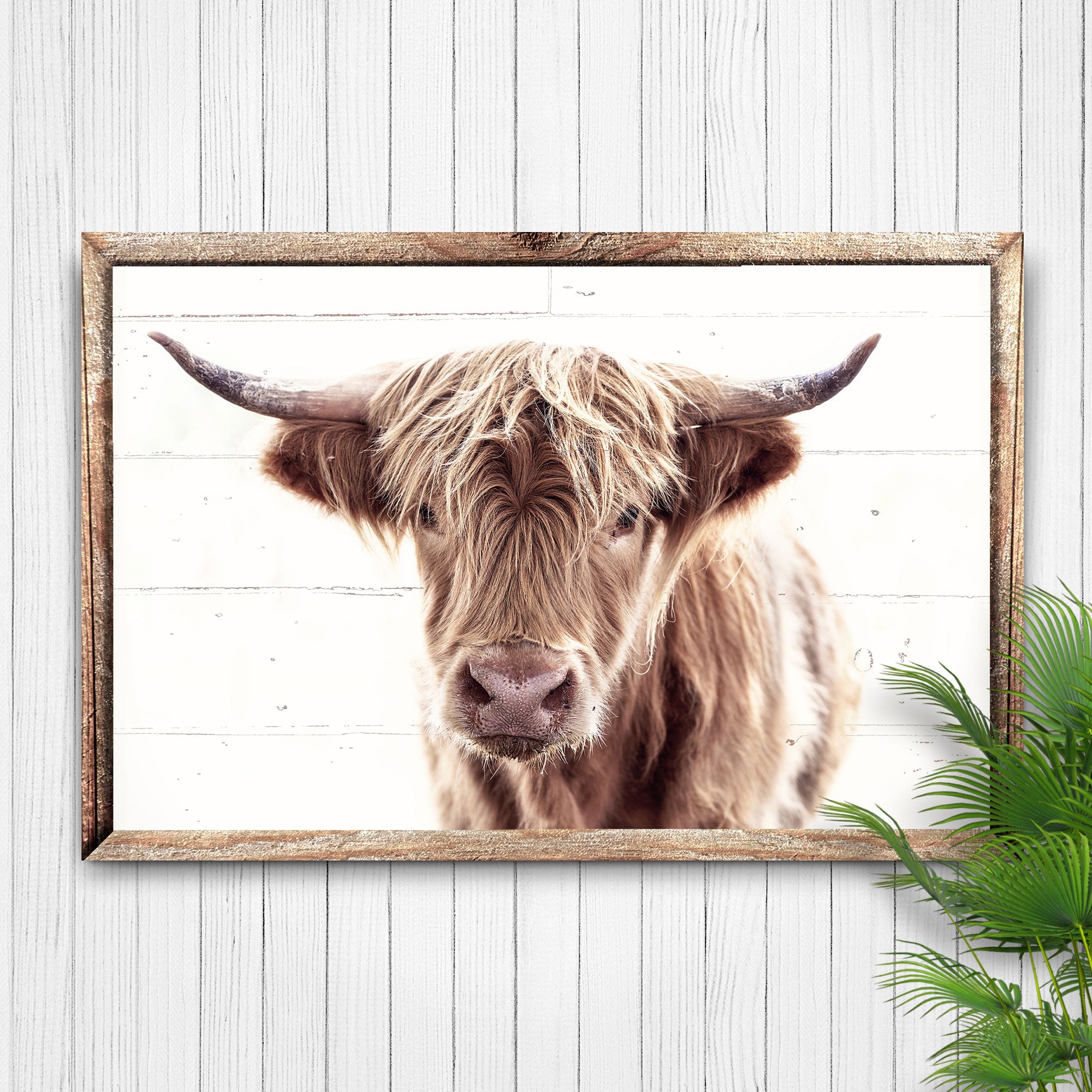 Image of Vintage Highland Cow Canvas Wall Art