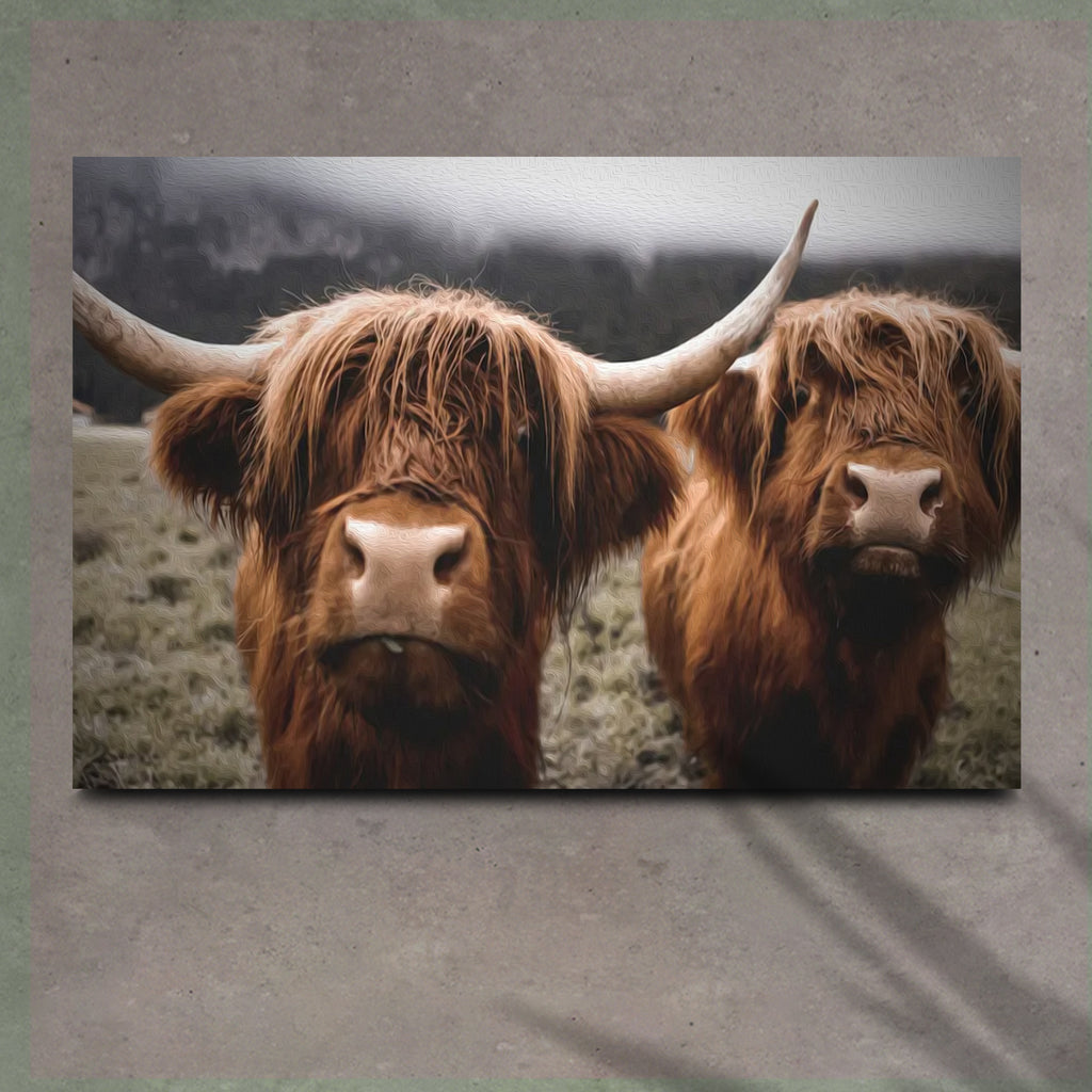 Curious Duo Highland Cow Canvas Wall Art - by Tailored Canvases