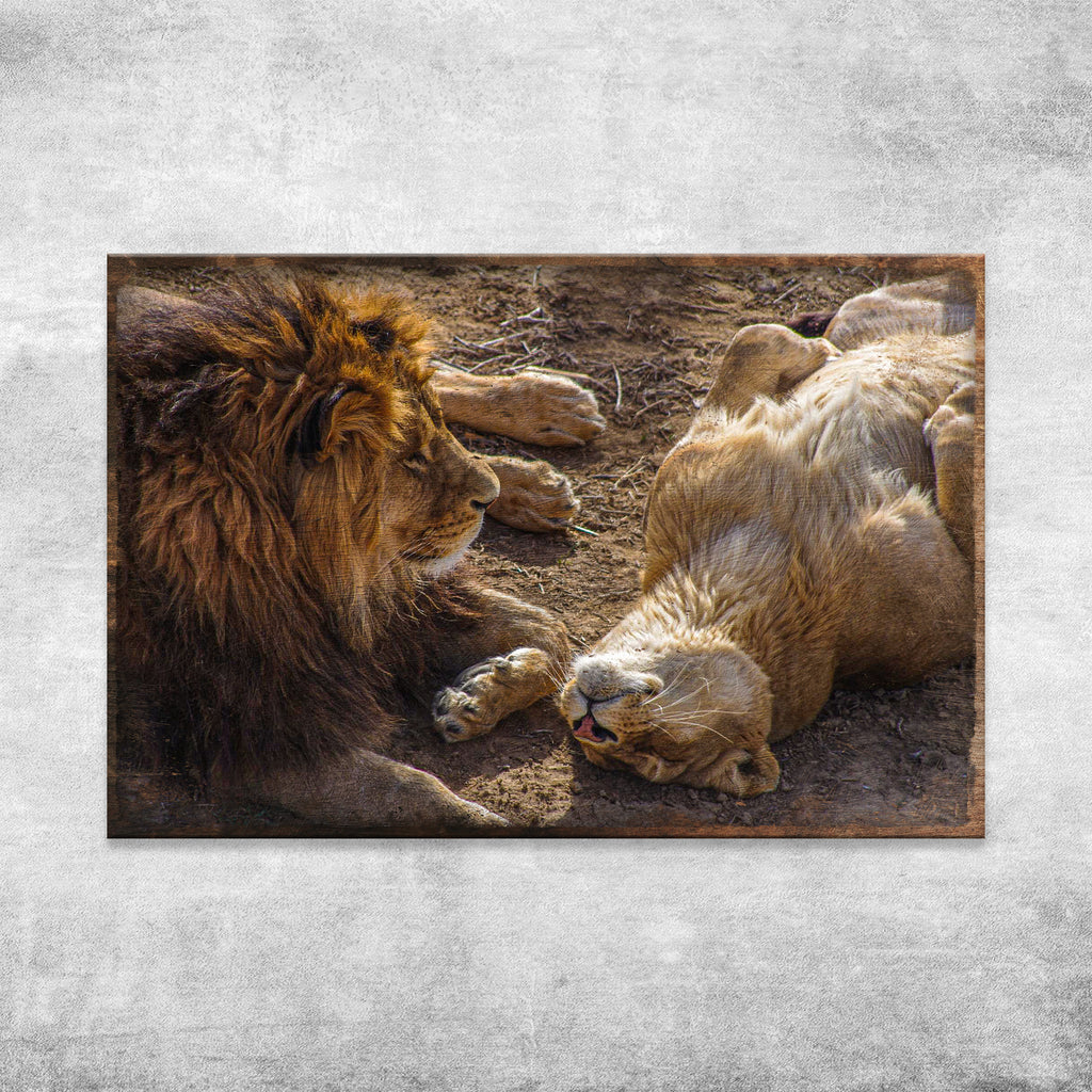 Lioness and Lion on the Prairie Canvas Wall Art - by Tailored Canvases