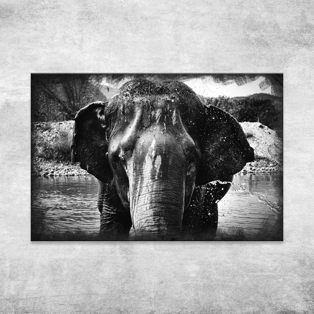 Black and White Wet Elephant Canvas Wall Art - by Tailored Canvases