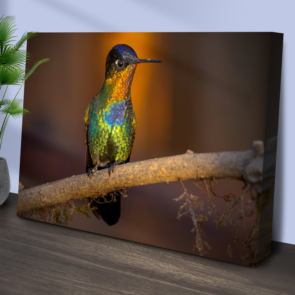 Shiny Hummingbird Canvas Wall Art - by Tailored Canvases