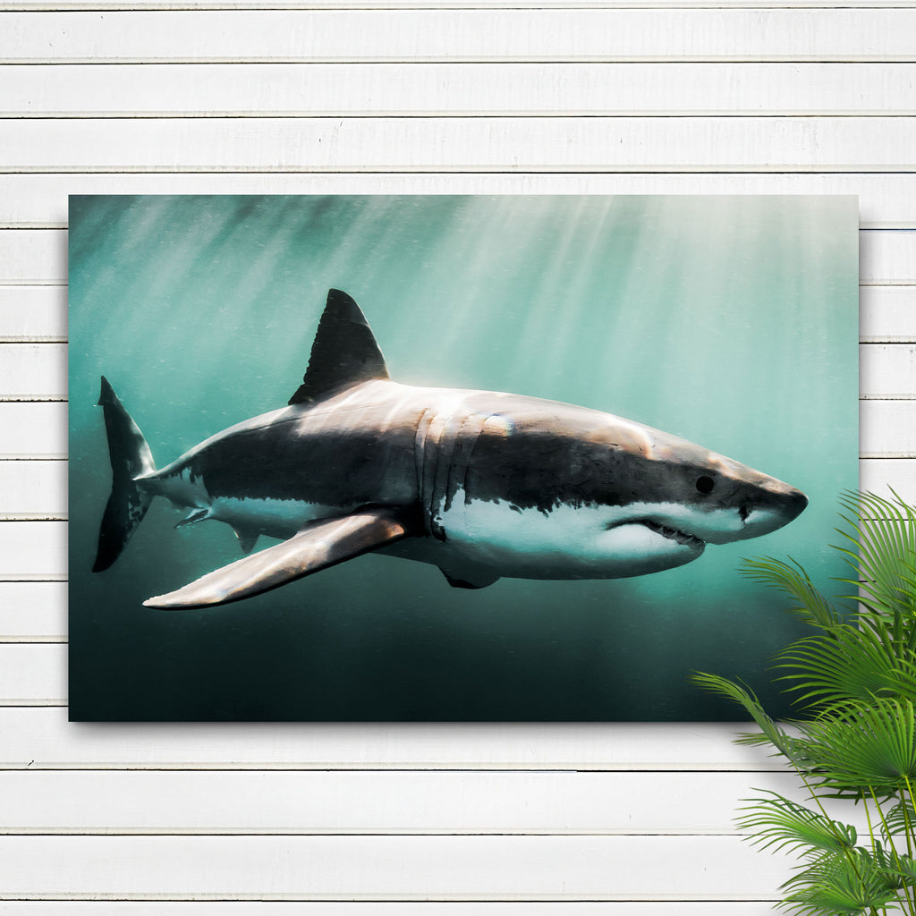 Underwater Shark Canvas Wall Art - by Tailored Canvases