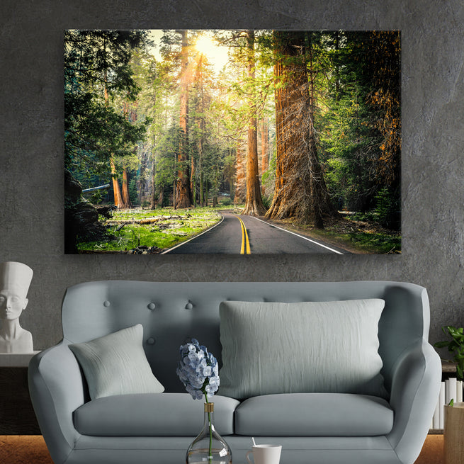Sequoia Tree Lane Wall Art - Wall Art Image by Tailored Canvases