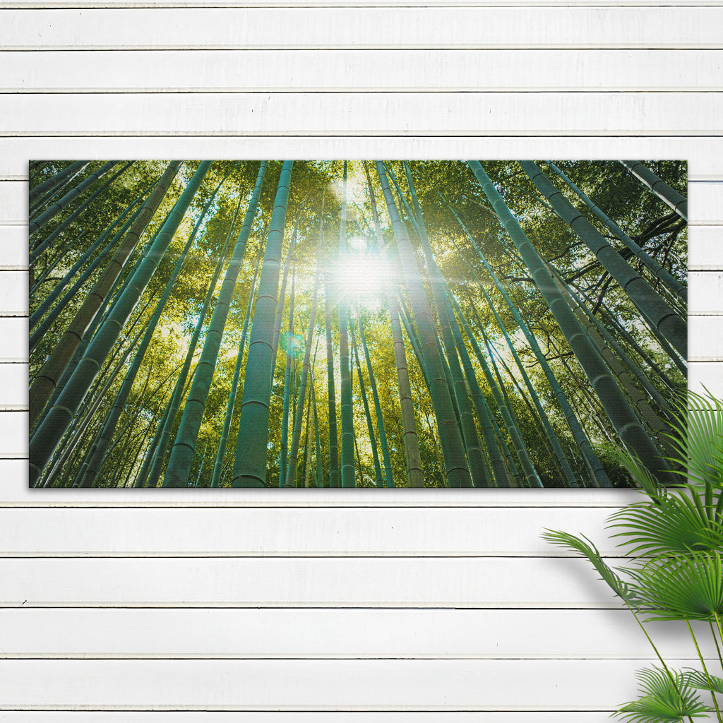 Looking Up through a Bamboo Forest (Ready to hang) - by Tailored Canvases