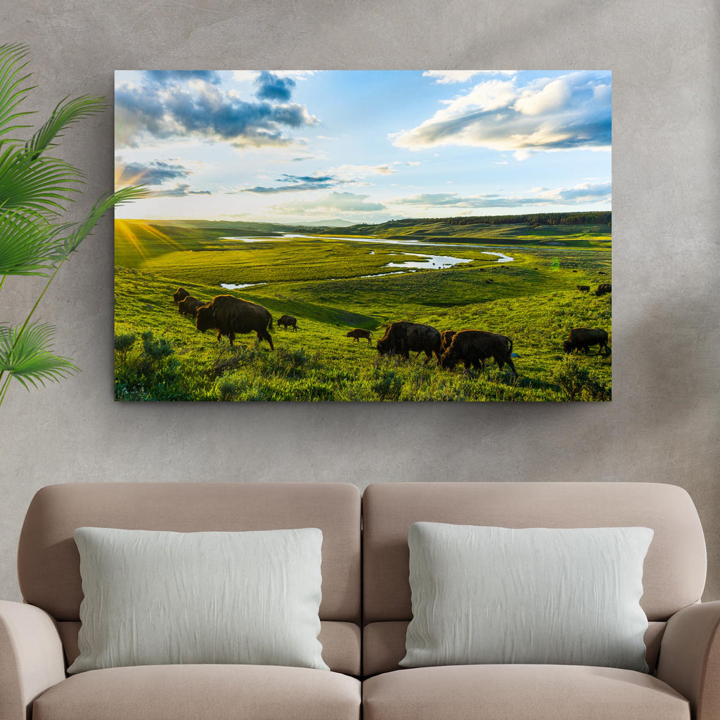 Bisons at Sunrise Canvas Wall Art - by Tailored Canvases