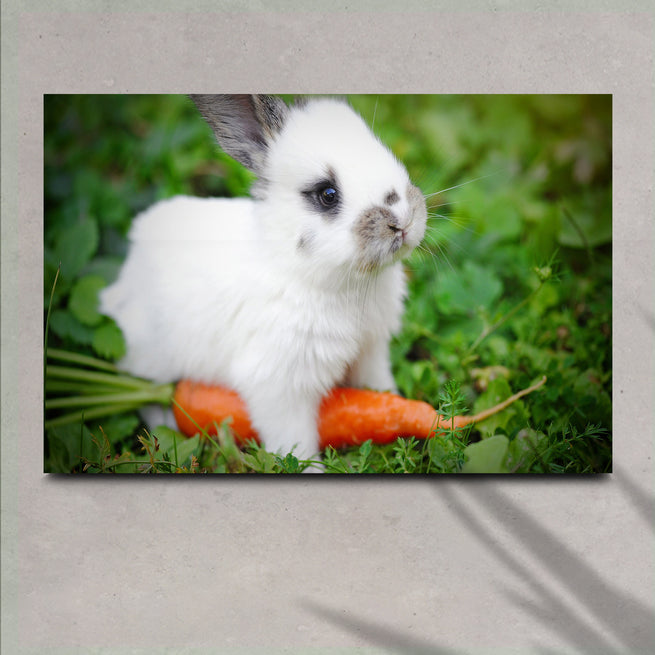 Rabbit With Carrot Canvas Wall Art - Image by Tailored Canvases