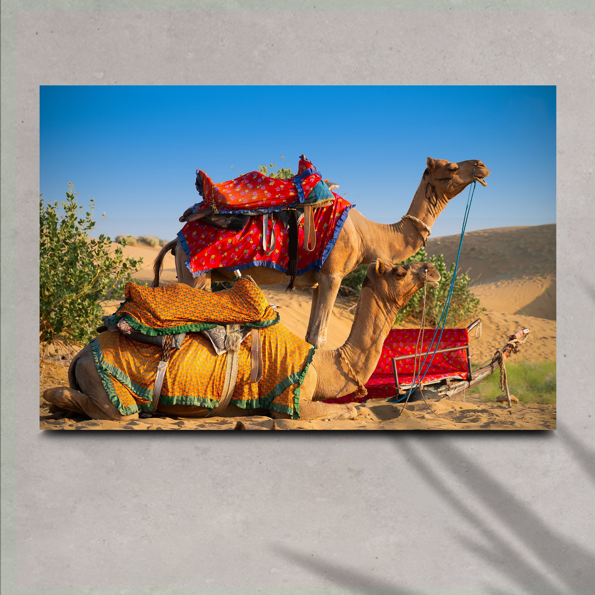 Image of Camel Ride Canvas Wall Art