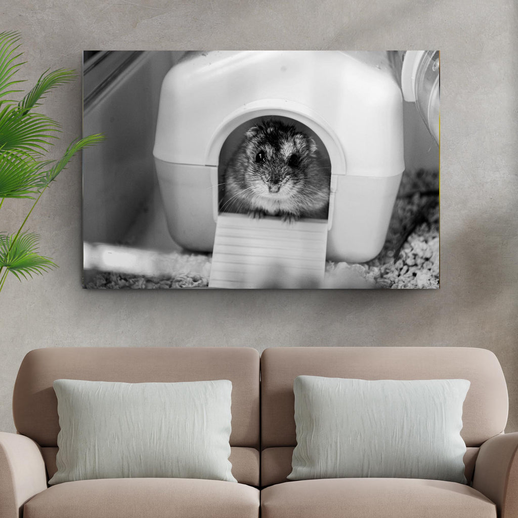 Monochrome Syrian Hamster Peek Canvas Wall Art - by Tailored Canvases