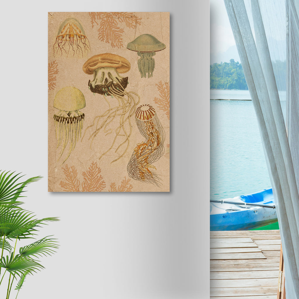 Vintage Jellyfish Portrait Canvas Wall Art - Image by Tailored Canvases