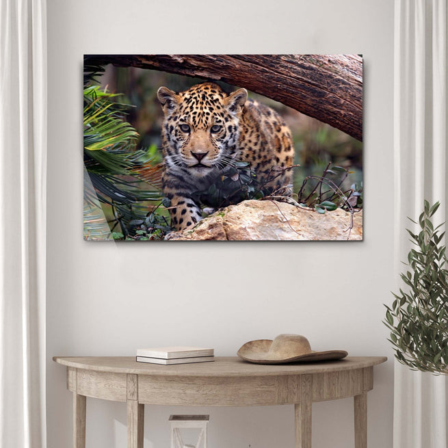 Sneaky Jaguar Canvas Wall Art - Wall Art Image by Tailored Canvases