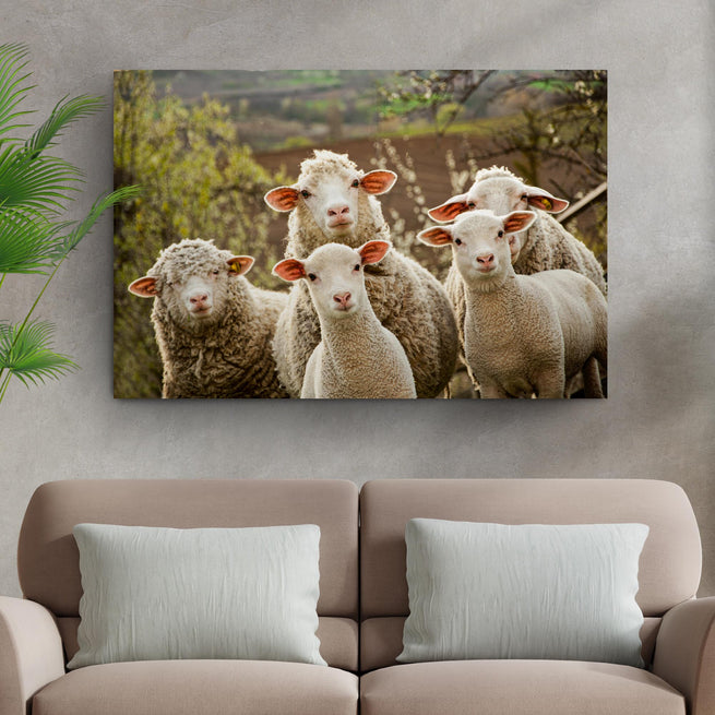 Curious Sheep Canvas Wall Art - Wall Art Image by Tailored Canvases