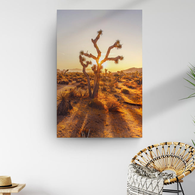 Joshua Tree of the Mojave and Colorado Deserts Canvas Wall Art (Ready to Hang) - Wall Art Image by Tailored Canvases