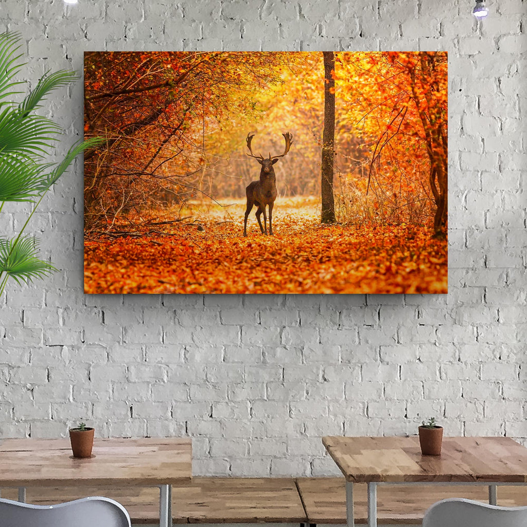 Fallow Deer in Autumn Canvas Wall Art (Ready to hang) - by Tailored Canvases