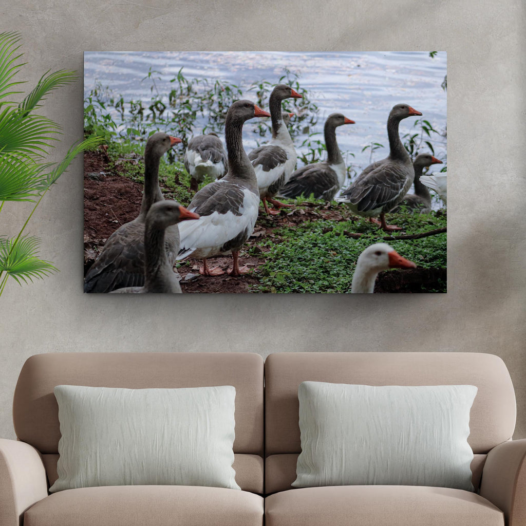 Flock Of Domestic Geese Canvas Wall Art - by Tailored Canvases