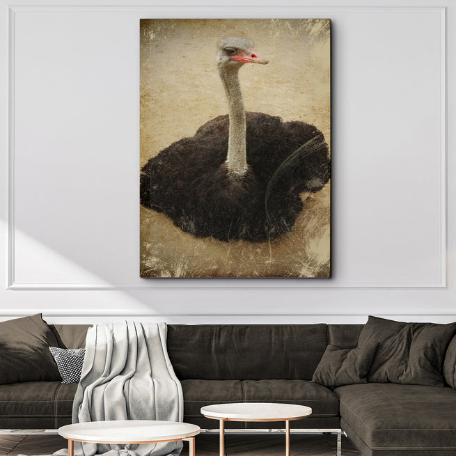 Vintage Ostrich Portrait Canvas Wall Art - Wall Art Image by Tailored Canvases