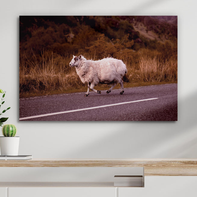 Lost Sheep Canvas Wall Art - Wall Art Image by Tailored Canvases