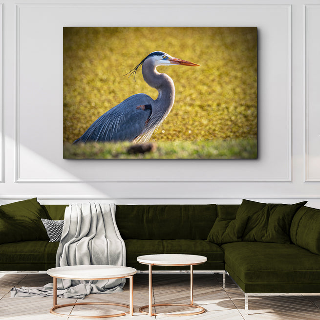 Great Heron Canvas Wall Art - Wall Art Image by Tailored Canvases