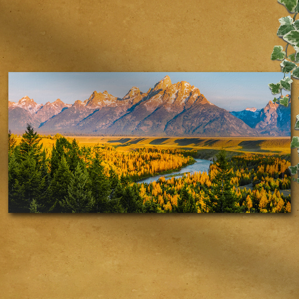 Grand Teton Aspen Trees Canvas Wall Art (Ready to hang) - by Tailored Canvases