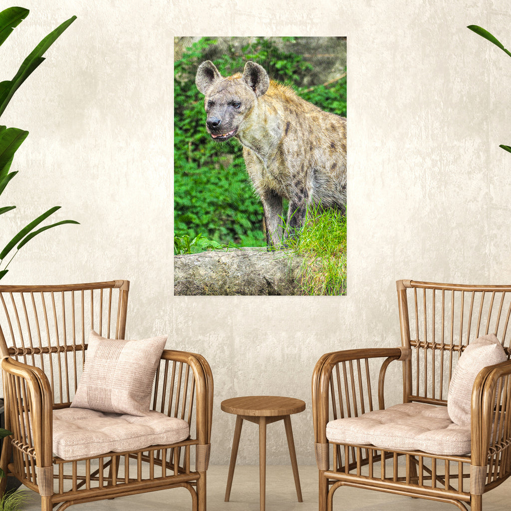 Spotted Hyena Portrait Canvas Wall Art - by Tailored Canvases