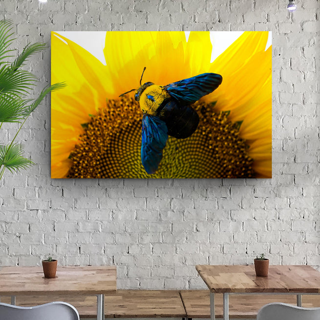 Bee Hoverfly above a Sunflower Canvas Wall Art - Wall Art Image by Tailored Canvases