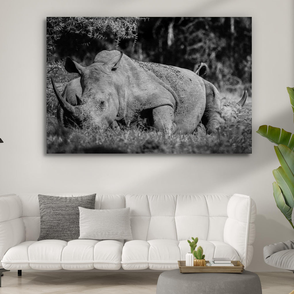 Black and White Resting Rhinoceros Canvas Wall Art - by Tailored Canvases