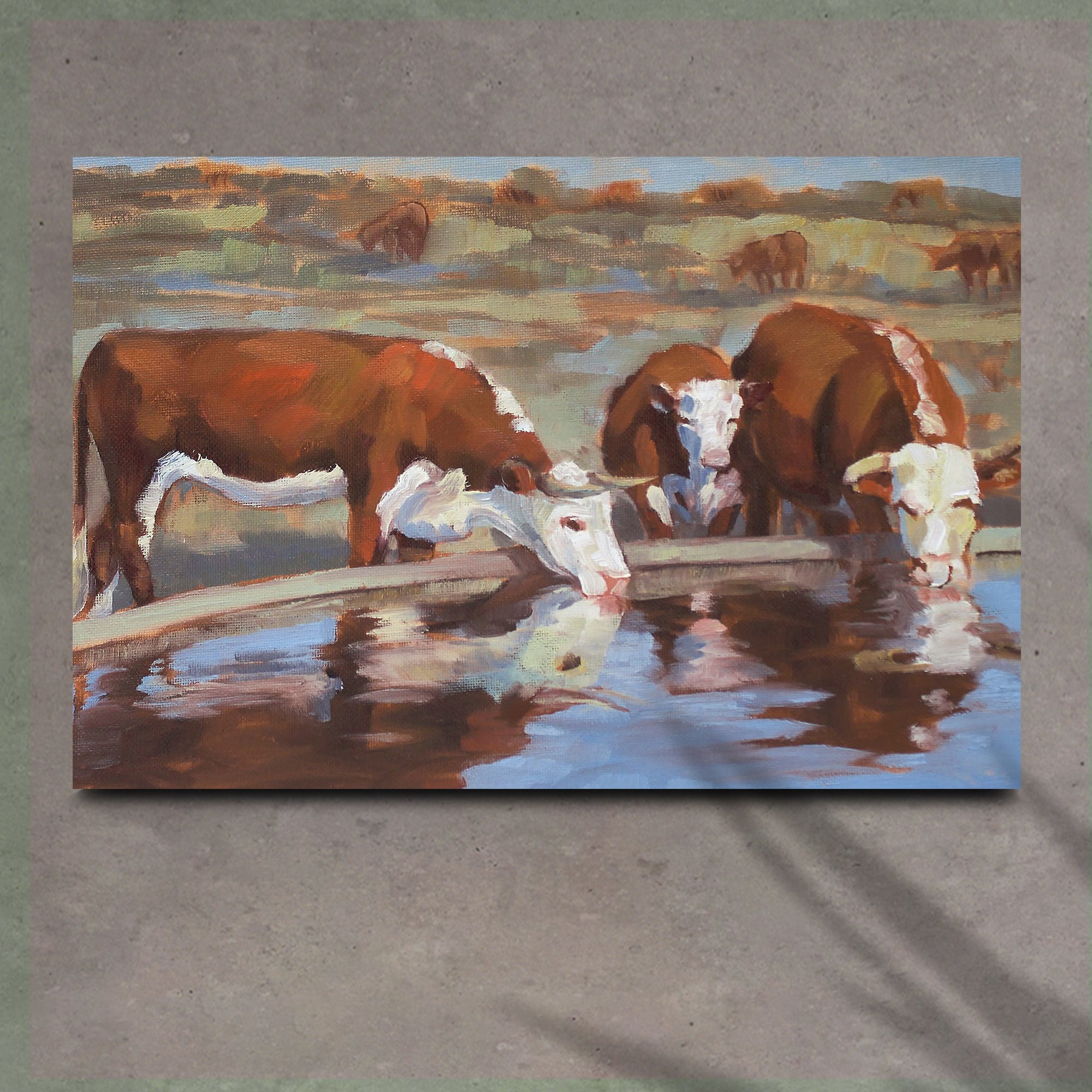 Image of Watercolor Hereford Cattle Canvas Wall Art (Ready to hang) - Free Shipping  i i i o . S . . y Ay 