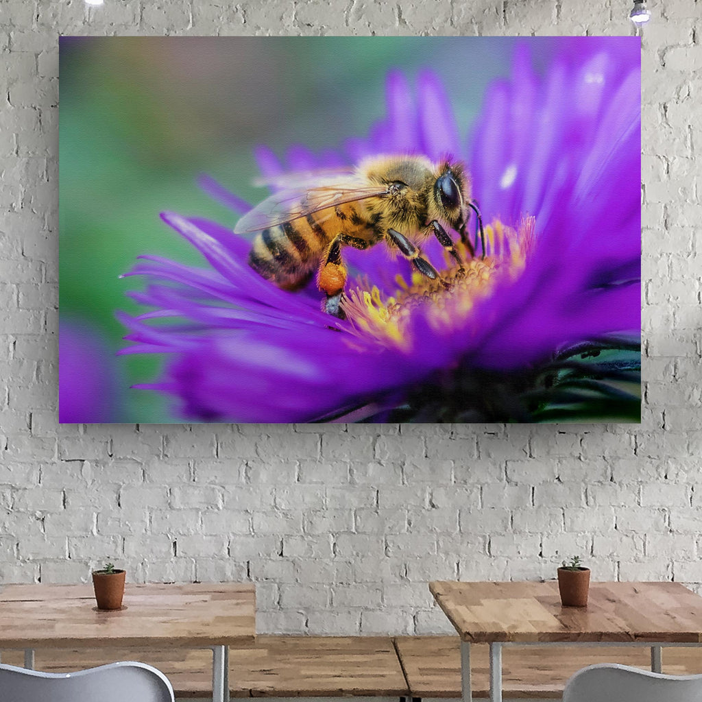 Honey Bee Up Close Canvas Wall Art (Ready to hang) - by Tailored Canvases