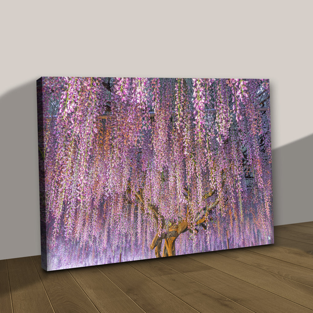 Flowers Wisteria Bloom Canvas Wall Art II - by Tailored Canvases