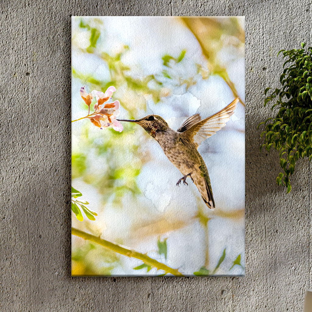 Hummingbird Feeding Canvas Wall Art II - by Tailored Canvases