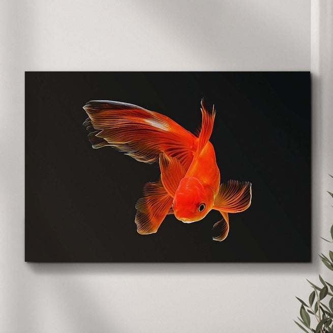 Lone Goldfish Canvas Wall Art - Wall Art Image by Tailored Canvases
