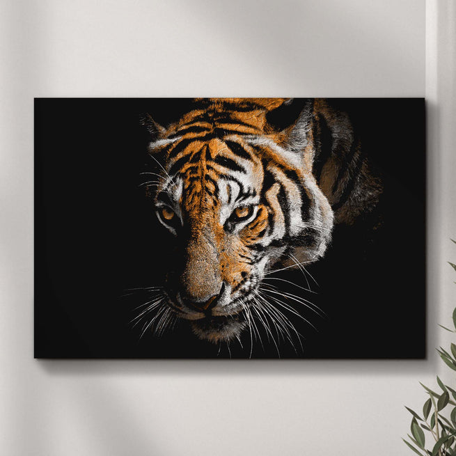 Tiger Watching In The Dark Canvas Wall Art - Image by Tailored Canvases