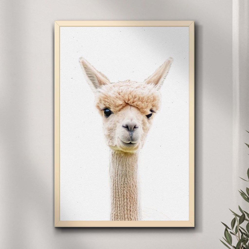 Alpaca Bangs Portrait Canvas Wall Art - by Tailored Canvases