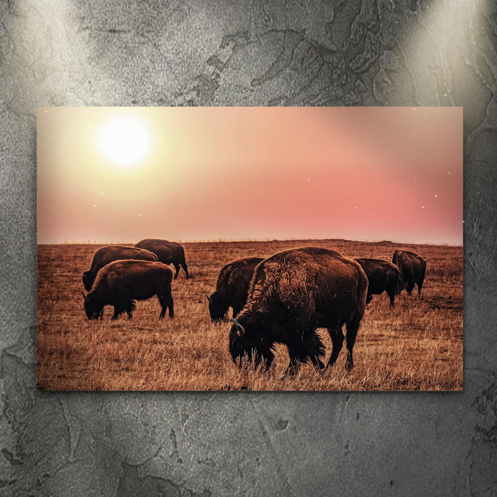 Bison Sunrise Canvas Wall Art - by Tailored Canvases