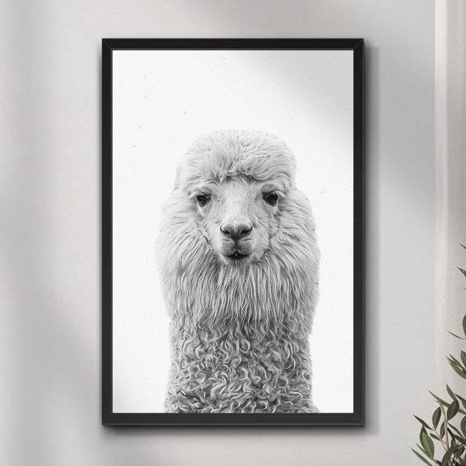 Grayscale Hairy Alpaca Portrait Canvas Wall Art - by Tailored Canvases