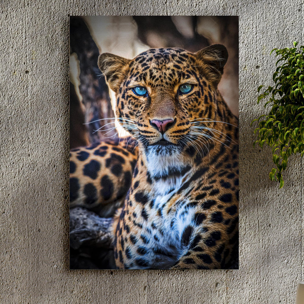 Blue-Eyed Leopard Portrait Canvas Wall Art - by Tailored Canvases