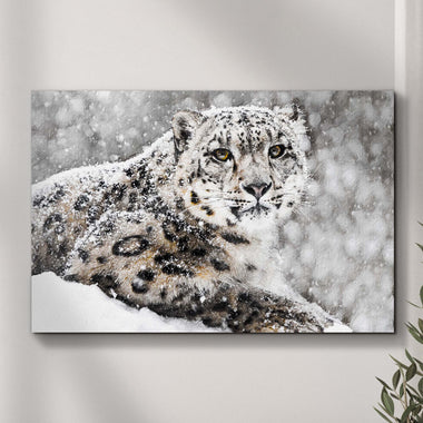 Snow Leopard In Blizzard Canvas Wall Art