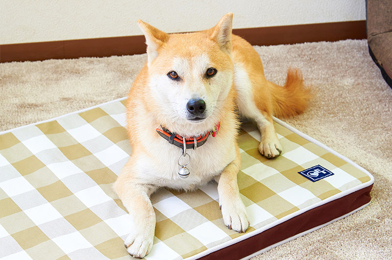 柴犬 介護マット