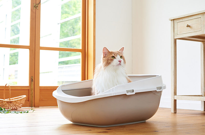 猫用トイレ　メガトレー