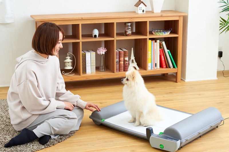 自動犬用トイレ　ブリリアントパッド