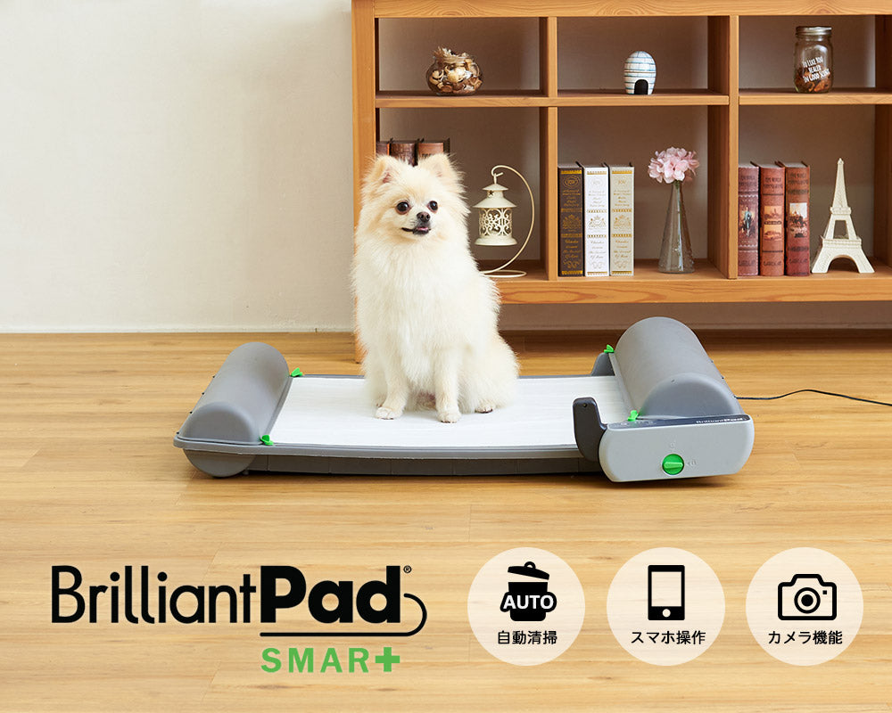 アプリで操作！スマホ対応自動犬トイレ BrilliantPad SMART（ブリリアントパッドスマート）自動犬用トイレ – OFT STORE