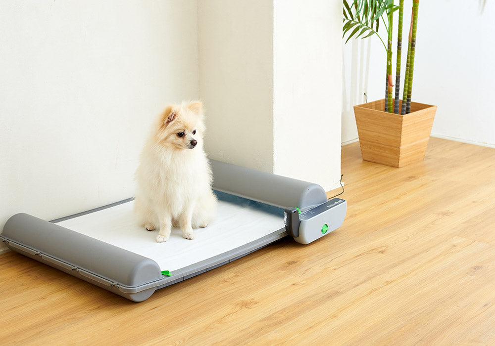 自動犬用トイレ ブリリアントパッドスマート