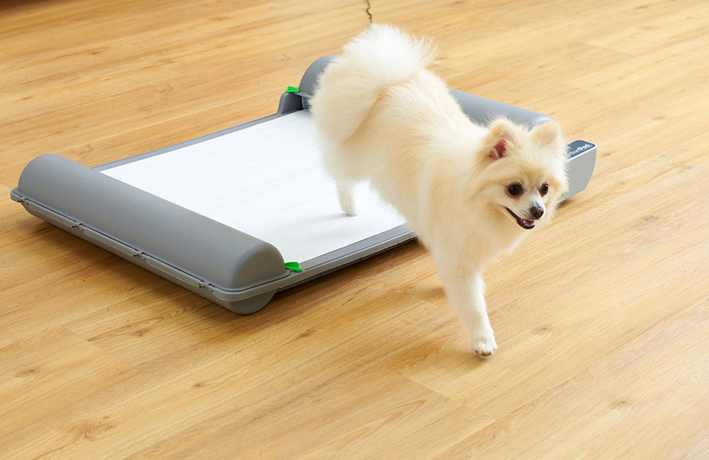 自動犬用トイレBrilliantPad SMART ブリリアントパッドスマート