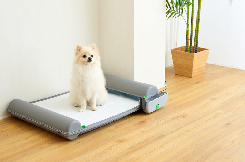 犬用自動トイレ　ブリリアントパッド