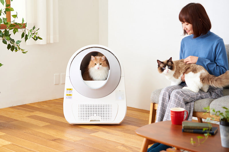 1ヶ月でいくらかかる！？自動猫トイレ導入後のランニングコスト – OFT