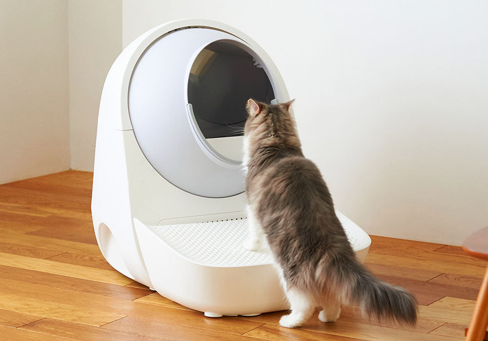 CATLINK SCOOPER 専用ステップ