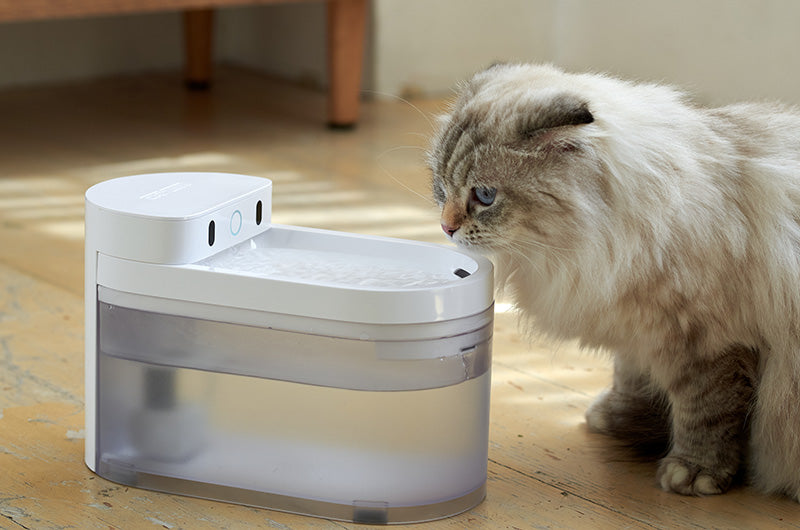 猫が好きな自動給水器
