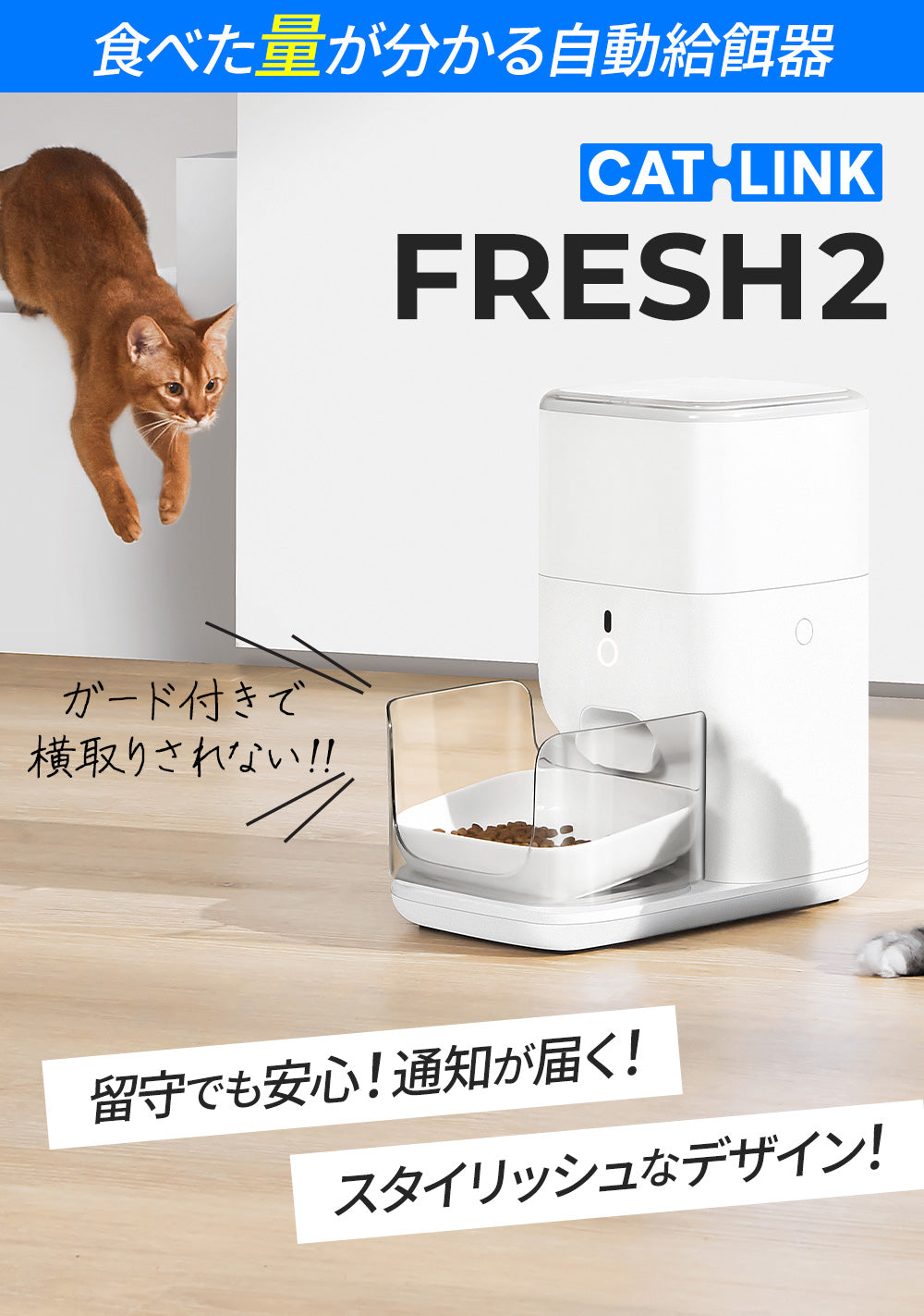 CATLINK_FRESH2_メイン画像