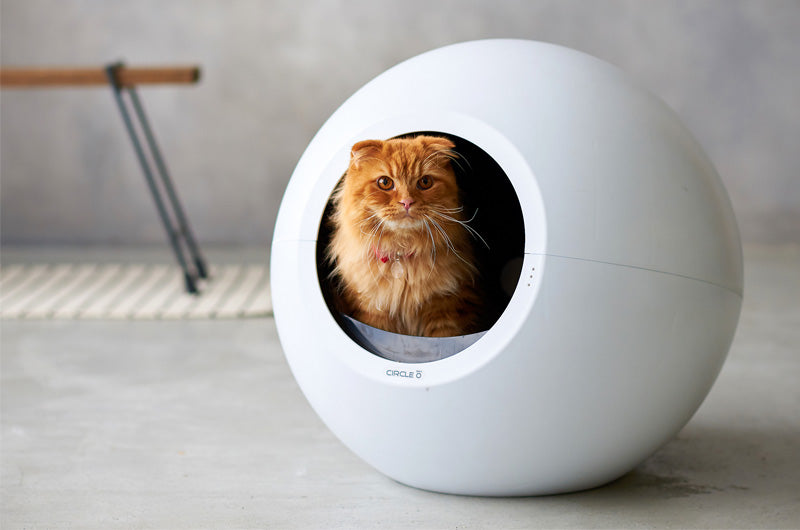 自動猫トイレの仕組みと安全性について Oft Store