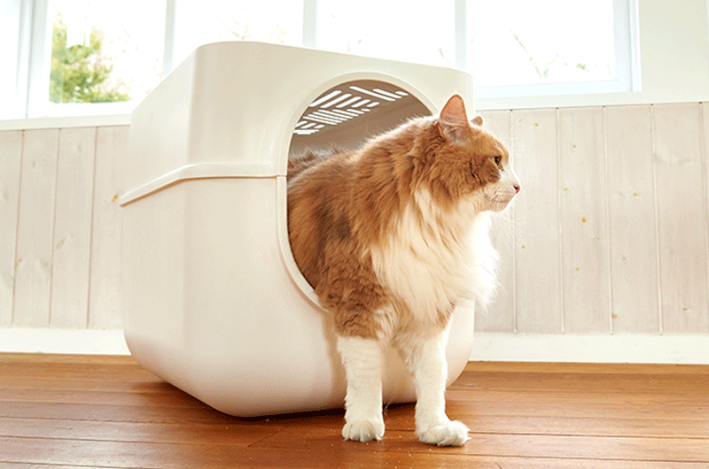ギガトレー　大型猫種用トイレ